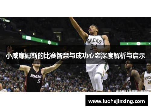 小威廉姆斯的比赛智慧与成功心态深度解析与启示