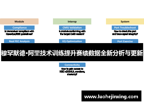 穆罕默德·阿里技术训练提升赛绩数据全新分析与更新