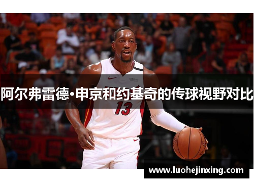 阿尔弗雷德·申京和约基奇的传球视野对比